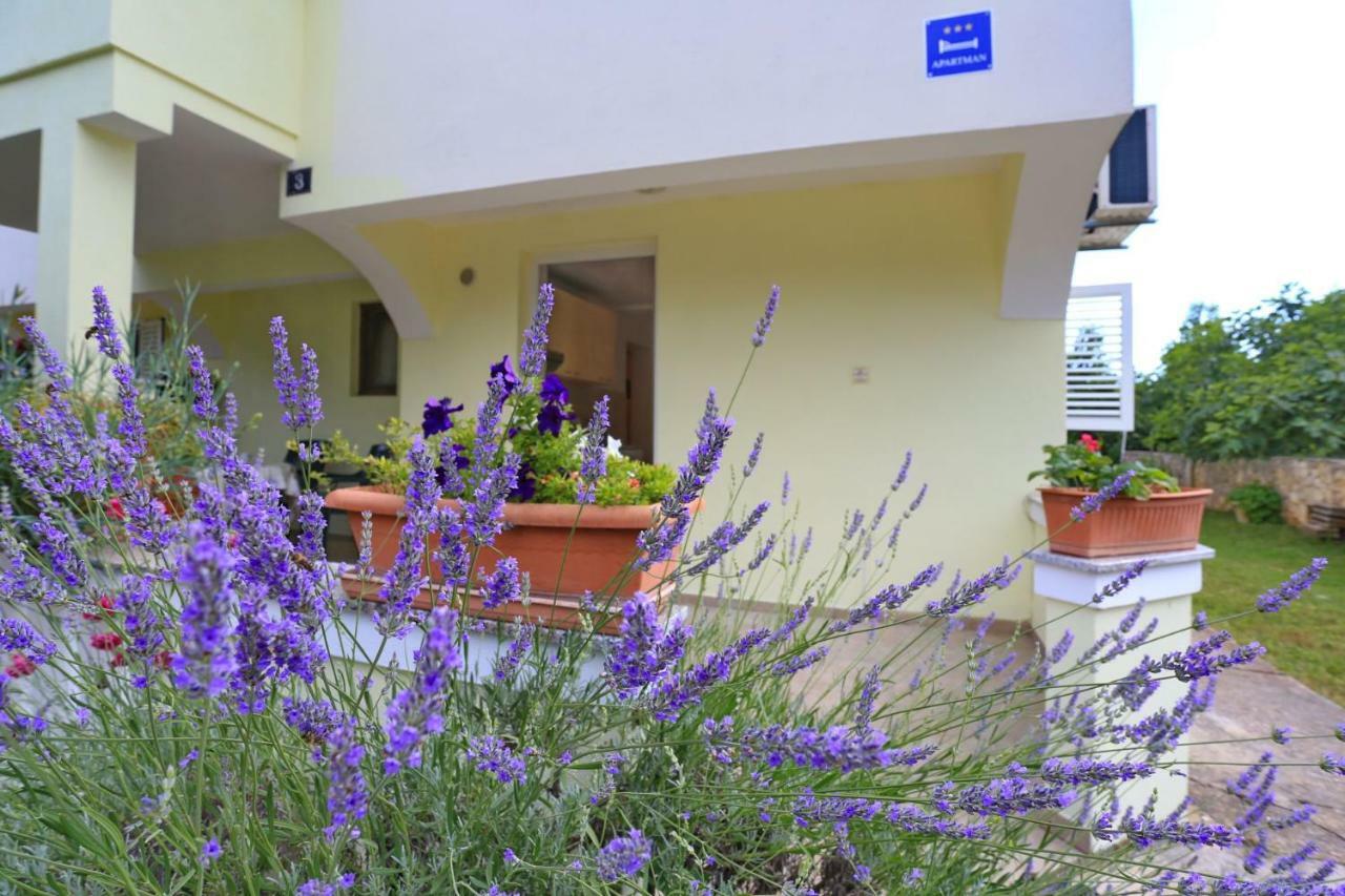 Apartments Romansa Zaton  Extérieur photo